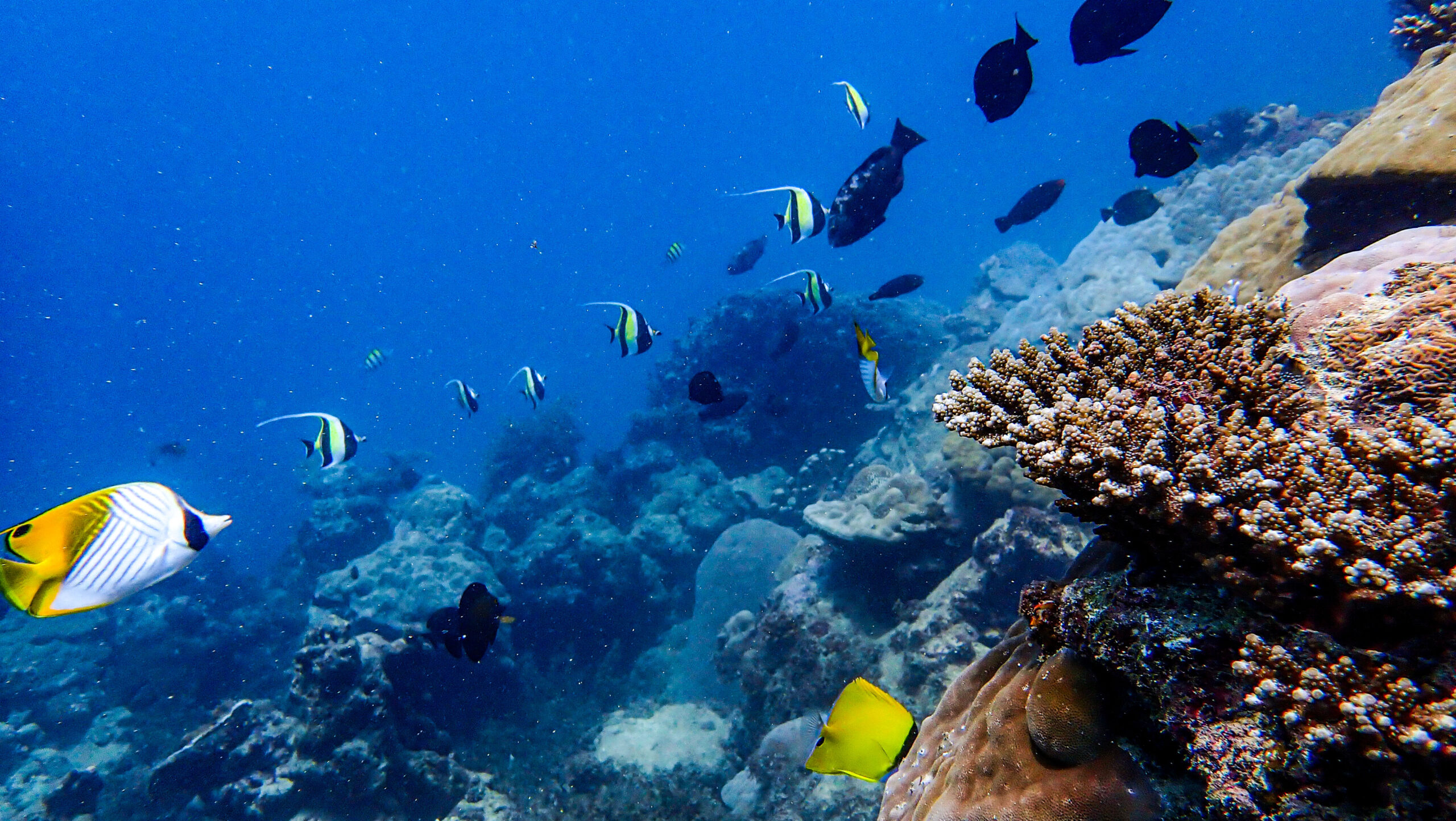 coastal-and-marine-environment